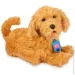   Kiddisvit    Moji (  ) 18207-UKR-ENG