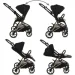  Kidwell 21 Velmont black/gold (KVB/G)