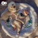   Kinderkraft Cozyplay (KPCOZY00LGR0000)