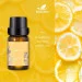    Kinscoter Essential Oil Set 6 bottles, 6*10 