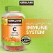 Kirkland Витамины Vitamin C 250 мг 180 таблеток (4384304440) Kirkland Витамины Vitamin C 250 мг 180 таблеток (4384304440)