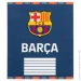 Kite   12 .  FC Barcelona 5 .