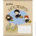 Kite   12 .   Harry Potter