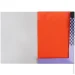 Kite   4 10 /10  HK24-255-2
