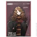 Kite    Harry Potter 30 . HP25-243