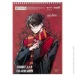 Kite    Harry Potter 30 . HP25-243