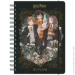 Kite    Harry Potter   HP23-438