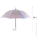 Kite    K24-2001-3