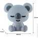 - LED   KITE Koala  (K24-491-2-1)