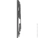  Kivi Basic-22F