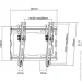  Kivi Basic-22T