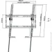  Kivi Basic-44T