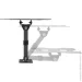  Kivi Motion-221