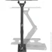  Kivi Motion-223