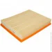   () Knecht (KNECHT) (LX1294)