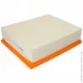   () Knecht (KNECHT) (LX819)