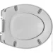 Koller Pool Trend  C9 , 