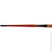 Kolos  Carrot 1097F  16  