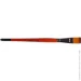 Kolos  Carrot 1097F  20  