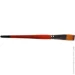 Kolos  Carrot 1097F  24  