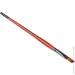 Kolos  Carrot 1097F  6  