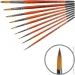 Kolos  Carrot 1097R 4 ..  