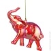 Koopman    60    CAA812670
