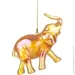Koopman    60    CAA812670