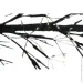 Koopman    (AX5390040) 100 