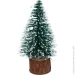  Koopman   Glitter 14  CAA234090