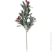   Koopman   Red Berries 38 