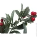   Koopman   Red Berries 38 