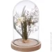   Koopman      Wildflowers 1420,5   