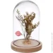   Koopman      Wildflowers 1420,5   