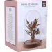   Koopman      Wildflowers 1420,5   