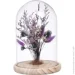   Koopman      Wildflowers   1725 