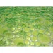 Kornel     34*64   (1331790781)