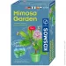   Kosmos      (Mimosa Garden) 616809