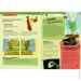   Kosmos   (Venus Flytrap) 616977