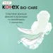 ó㳺  Kotex  㳺 Bio-Care Night 6 .