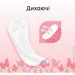   Kotex   Super Deo 52 .