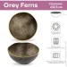 Krauff  Grey Ferns 12,5 