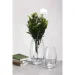 Krosno ʳ:   CASUAL  23,5 