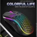    K-Snake SM600         (SH0000315)