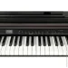   Kurzweil CUP E1 SR