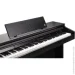   Kurzweil CUP E1 SR