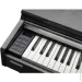   Kurzweil CUP M1 SR