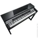   Kurzweil CUP P1 BK