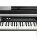   Kurzweil CUP P1 BK