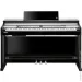   Kurzweil CUP P1 BP